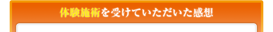 体験施術を受けていただいた感想